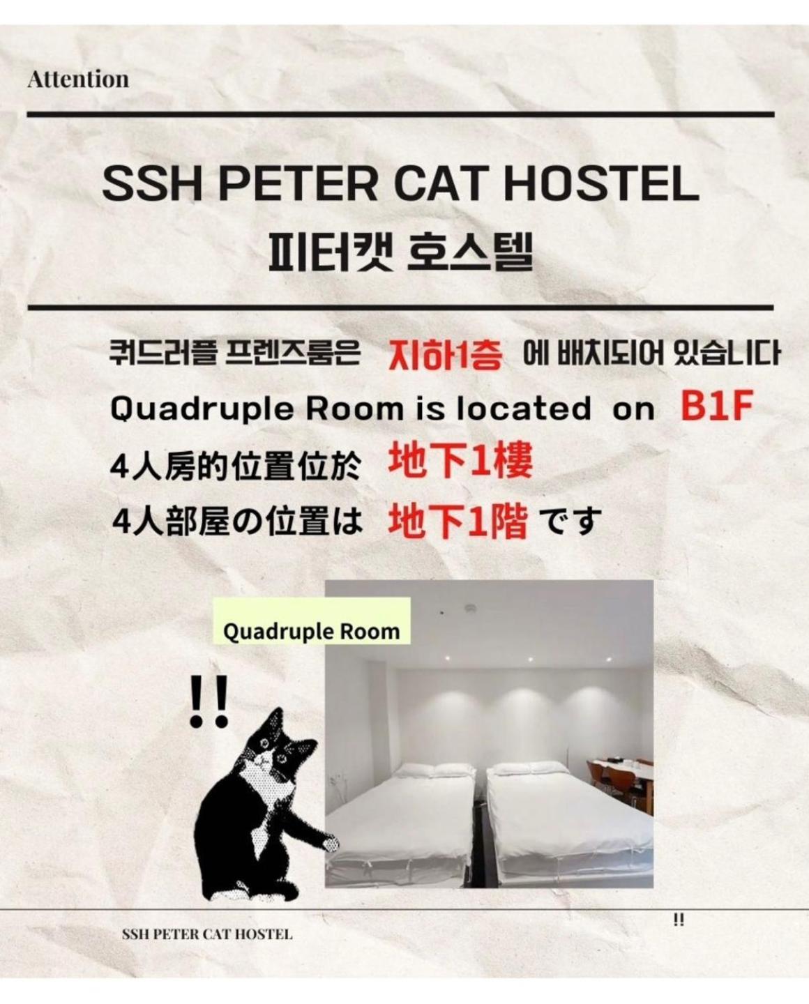 Ssh Ikseon Peter Cat Hostel Сеул Экстерьер фото